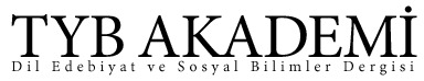 tyb-akademi-logo